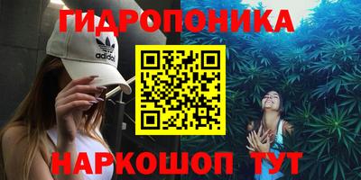 ПСИЛОЦИБИНОВЫЕ ГРИБЫ Тара